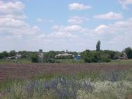 Лози - Останні фото