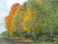 Балашівка - Останні фото