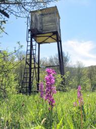 Резервне з panoramio.com (ч.4)