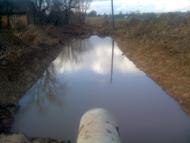 Воля Якубова - Останні фото