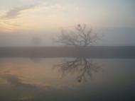 Деражне з panoramio.com