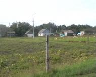 Никонівка - Останні фото