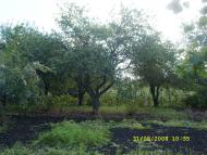 Ленінка - Останні фото