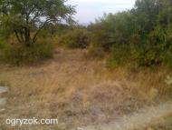 Феодосія з panoramio.com (ч.4)