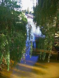 Молодіжне з panoramio.com