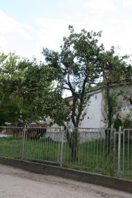 Научний з panoramio.com