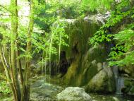 Соколине з panoramio.com (ч.2)