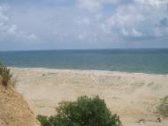 Грибівка з panoramio.com