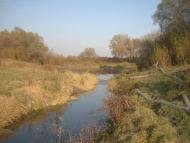 Количівка з panoramio.com