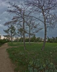 Роздольне з panoramio.com