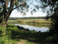 Бовкун - Останні фото