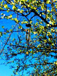 Нікополь з panoramio.com (ч.2)