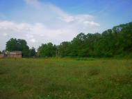 Краснолісся з panoramio.com