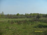 Гута-Зеленицька з panoramio.com