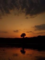 Олександрівка з panoramio.com