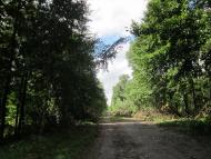 Карпівка з panoramio.com