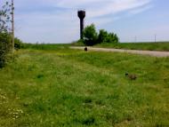 Благовіщенське з panoramio.com