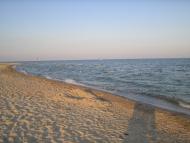 Лиман - Останні фото