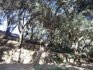 Нікіта з panoramio.com (ч.2)