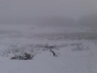 Грабовське - Останні фото