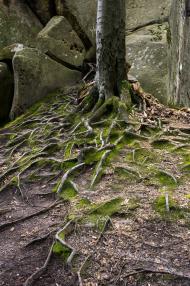 Поляниця з panoramio.com