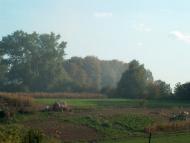 Велика Омеляна з panoramio.com