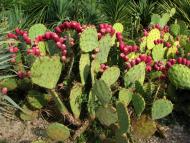 Нікіта з panoramio.com (ч.2)