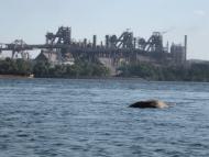 Дніпродзержинськ з panoramio.com (ч.4)