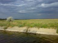 Радсад з panoramio.com