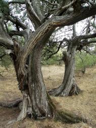 Рибаче з panoramio.com (ч.2)