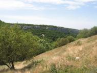 Машине з panoramio.com (ч.2)