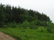 Горщик з panoramio.com