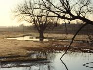 Велика Омеляна з panoramio.com