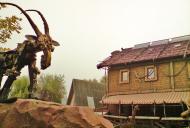 Петриків з panoramio.com (ч.2)