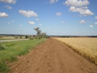 Шкільне з panoramio.com