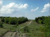 Чечеліївка - Останні фото