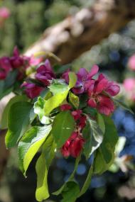 Нікіта з panoramio.com (ч.2)