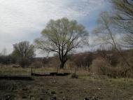 Абазівка з panoramio.com