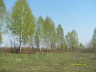 Гута-Зеленицька з panoramio.com