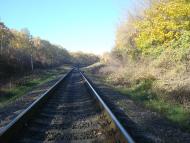 Щиборівка - Останні фото