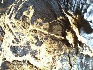 Погреби з panoramio.com (ч.3)