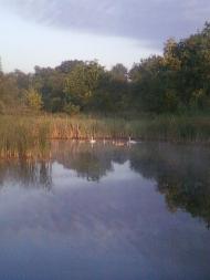 Воронівка - Останні фото