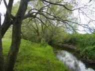 Хрипівка - Останні фото