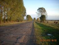 Довгий Войнилів з panoramio.com