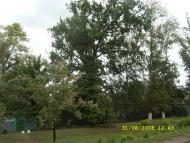 Ленінка з panoramio.com