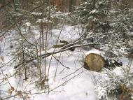 Стричава з panoramio.com