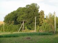 Люлинці з panoramio.com