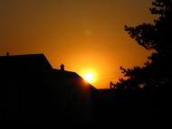 Новоселівка з panoramio.com