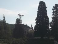 Масандра з panoramio.com