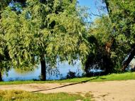 Козацьке - Останні фото